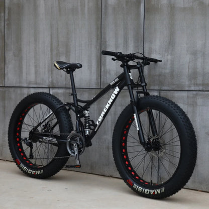 Variable Speed Off-Road  Beach Bike