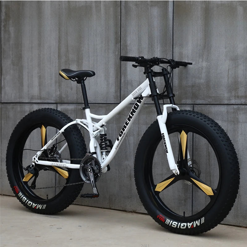 Variable Speed Off-Road  Beach Bike