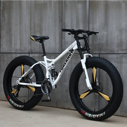 Variable Speed Off-Road  Beach Bike