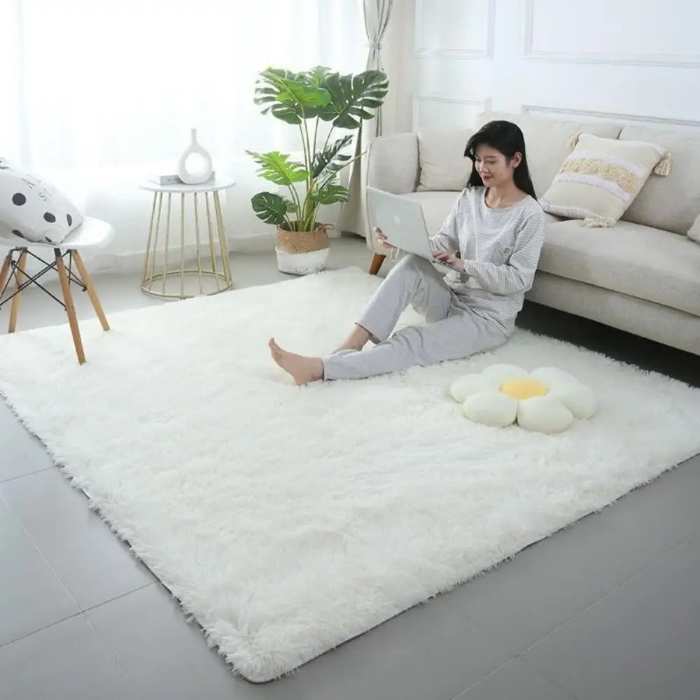 Soft Fluffy Home Mat-Dye Plush Carpet