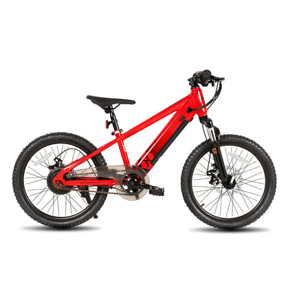 JOYSTAR Electric Bike for Kids Teens Ages 7+ with 250W Motor, 15 Miles 15MPH