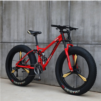 Variable Speed Off-Road  Beach Bike