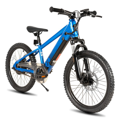 JOYSTAR Electric Bike for Kids Teens Ages 7+ with 250W Motor, 15 Miles 15MPH