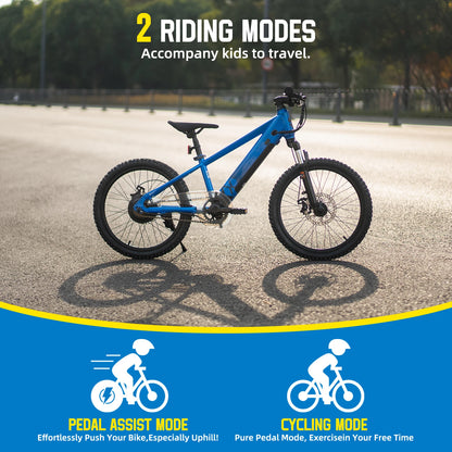 JOYSTAR Electric Bike for Kids Teens Ages 7+ with 250W Motor, 15 Miles 15MPH