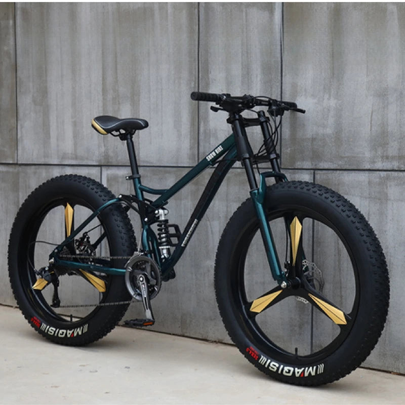 Variable Speed Off-Road  Beach Bike