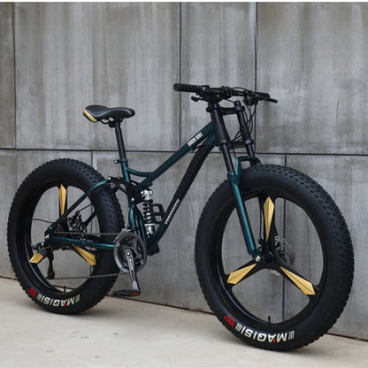 Variable Speed Off-Road  Beach Bike