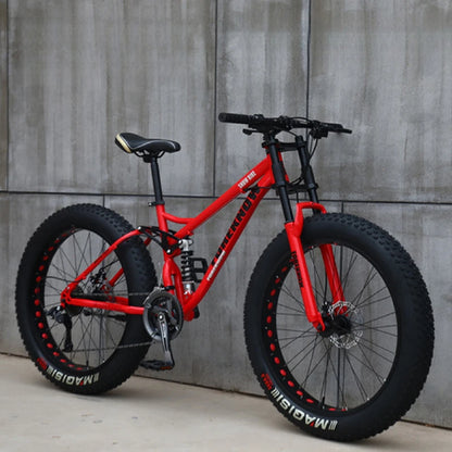Variable Speed Off-Road  Beach Bike