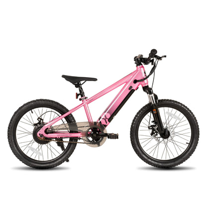 JOYSTAR Electric Bike for Kids Teens Ages 7+ with 250W Motor, 15 Miles 15MPH