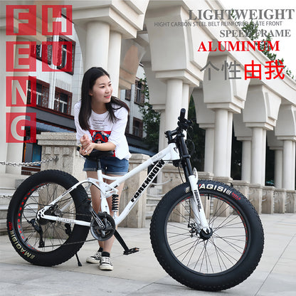 Variable Speed Off-Road  Beach Bike