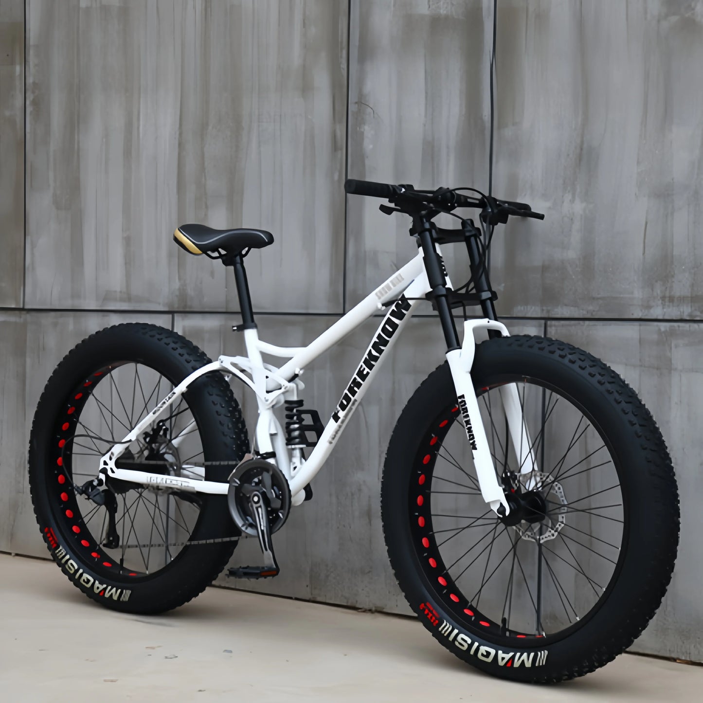 Variable Speed Off-Road  Beach Bike