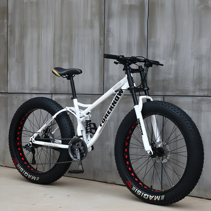 Variable Speed Off-Road  Beach Bike