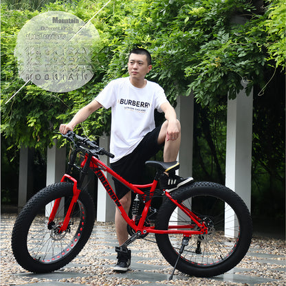 Variable Speed Off-Road  Beach Bike