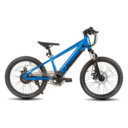 JOYSTAR Electric Bike for Kids Teens Ages 7+ with 250W Motor, 15 Miles 15MPH