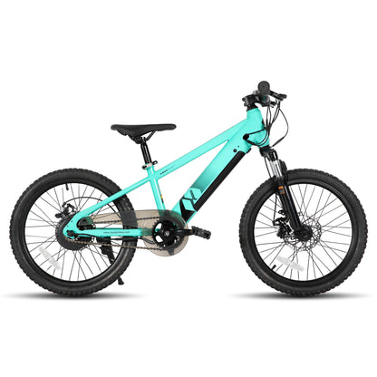 JOYSTAR Electric Bike for Kids Teens Ages 7+ with 250W Motor, 15 Miles 15MPH
