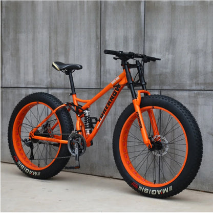 Variable Speed Off-Road  Beach Bike