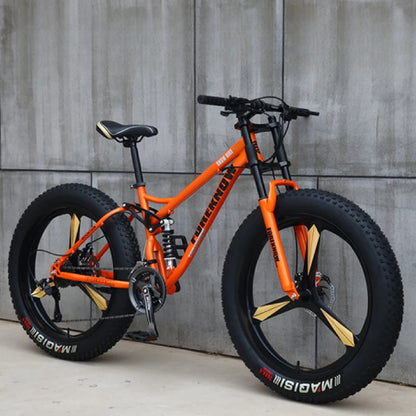 Variable Speed Off-Road  Beach Bike