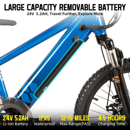 JOYSTAR Electric Bike for Kids Teens Ages 7+ with 250W Motor, 15 Miles 15MPH