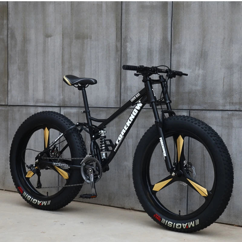 Variable Speed Off-Road  Beach Bike